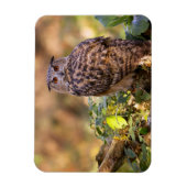 Magnet Flexible Un hibou de l'aigle (Vertical)