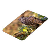 Magnet Flexible Un hibou de l'aigle (Côté Gauche)