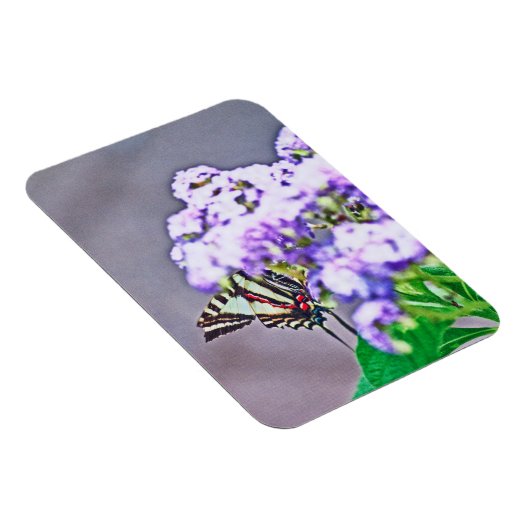 Magnet Flexible Un jeu de cache et de recherche (Côté Droit)