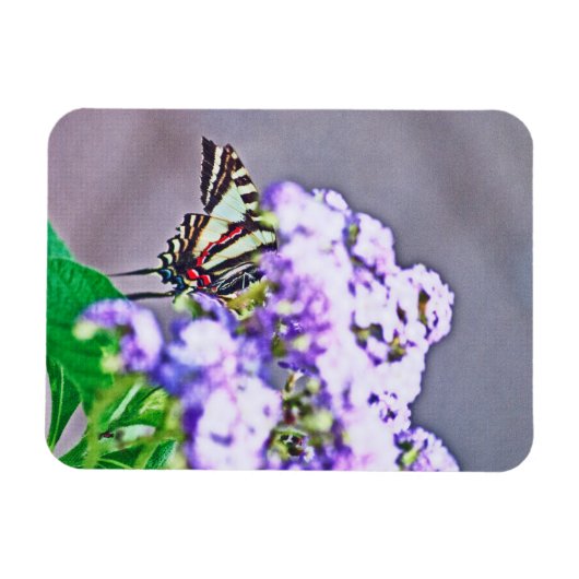 Magnet Flexible Un jeu de cache et de recherche (Horizontal)