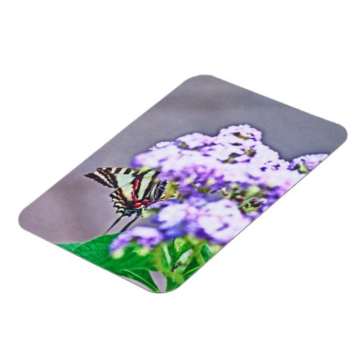 Magnet Flexible Un jeu de cache et de recherche (Côté Gauche)