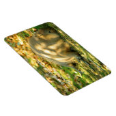 Magnet Flexible Un joli rêve de capybara au soleil d'été (Côté Droit)