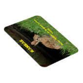 Magnet Flexible Un lapin dans le Kansas t'aime l'aimant. (Côté Droit)