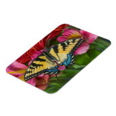 Magnet Flexible Un papillon à queue épaisse de tigre (Côté Gauche)