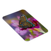 Magnet Flexible Un papillon à queue noire (Côté Droit)