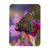 Magnet Flexible Un papillon à queue noire (Vertical)
