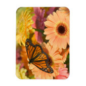 Magnet Flexible Un papillon de deuil (Vertical)