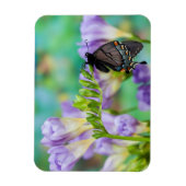 Magnet Flexible Un papillon monarque | Danaus Plexippus (Vertical)