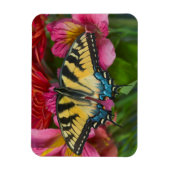 Magnet Flexible Un papillon Papilio glaucus (Vertical)