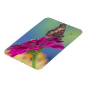 Magnet Flexible Un papillon Papilio Multicaudatus (Côté Gauche)