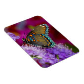 Magnet Flexible Un papillon swallowtail à épices (Côté Droit)