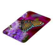Magnet Flexible Un papillon swallowtail à épices (Côté Gauche)
