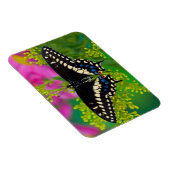 Magnet Flexible Un papillon swallowtail atterrissant (Côté Droit)