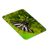 Magnet Flexible Un papillon swallowtail nord-américain (Côté Droit)