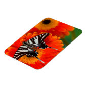 Magnet Flexible Un papillon swallowtail zèbre (Côté Gauche)