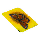 Magnet Flexible Un papillon vice-roi | Limenitis Archippus (Côté Droit)