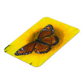 Magnet Flexible Un papillon vice-roi | Limenitis Archippus (Côté Gauche)