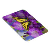 Magnet Flexible Un papillon Viceroy sur des glands mauves (Côté Droit)