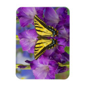 Magnet Flexible Un papillon Viceroy sur des glands mauves (Vertical)