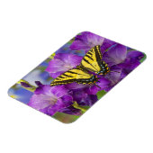 Magnet Flexible Un papillon Viceroy sur des glands mauves (Côté Gauche)