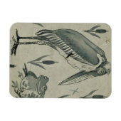 Magnet Flexible Un pélican et une grenouille en conversation (avec (Horizontal)