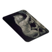 Magnet Flexible Un tigre à ressort (crayon sur papier) (Côté Droit)