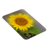 Magnet Flexible un tournesol brillant (Côté Droit)
