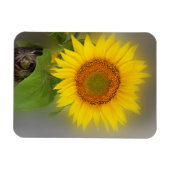 Magnet Flexible un tournesol brillant (Horizontal)