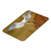Magnet Flexible Une aigrette garzette (Bubulcus Ibis) descend (Côté Gauche)