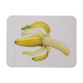 Magnet Flexible Une banane à moitié pelée 1997 (Horizontal)