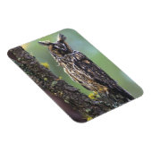 Magnet Flexible Une chouette effraie perchée sur une branche d'arb (Côté Droit)