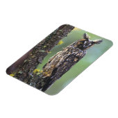 Magnet Flexible Une chouette effraie perchée sur une branche d'arb (Côté Gauche)