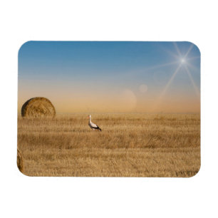 Magnet Flexible Une cigogne blanche