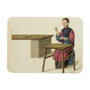 Magnet Flexible Une femme préparant le thé, plaquent 21 'du