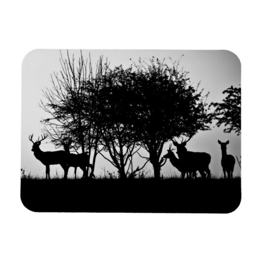 Magnet Flexible Une image de cerfs dans la brume matinale (Horizontal)