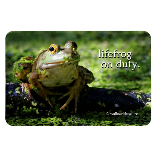 Magnet Flexible Une jolie grenouille verte frappe un pot sur le tu (Horizontal)