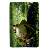 Magnet Flexible Une jolie grenouille verte frappe un pot sur le tu (Vertical)