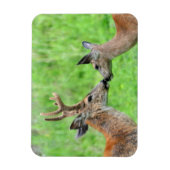 Magnet Flexible Une paire de cerfs (Vertical)