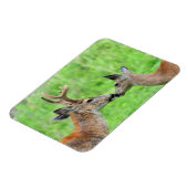 Magnet Flexible Une paire de cerfs (Côté Gauche)