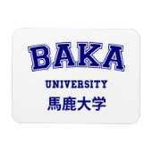 MAGNET FLEXIBLE UNIVERSITÉ DE BAKA (Horizontal)