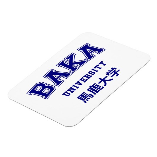 MAGNET FLEXIBLE UNIVERSITÉ DE BAKA (Côté Gauche)