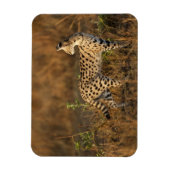 Magnet Flexible Upper Mara, Masai Mara Game Reserve, Kenya, (Vertical)