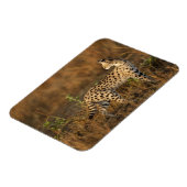 Magnet Flexible Upper Mara, Masai Mara Game Reserve, Kenya, (Côté Gauche)