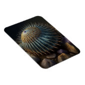 Magnet Flexible Urchine de Deep Sea (Côté Droit)