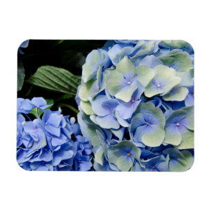 Magnet Flexible USA, Alabama, Theodore Near Mobile 2