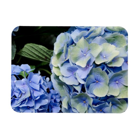 Magnet Flexible USA, Alabama, Theodore Near Mobile 2 (Horizontal)