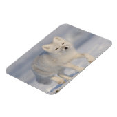 Magnet Flexible USA, Alaska, 1002 Plaine côtière de l'ANWR. A 3 (Côté Gauche)