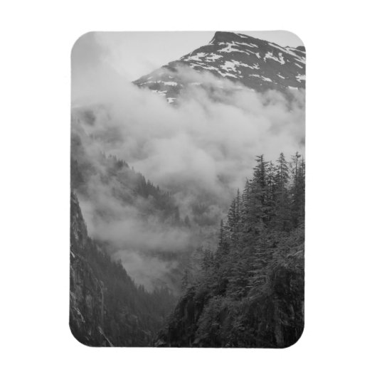 Magnet Flexible USA, Alaska, Juneau, Rainforest couvre les fjords  (Vertical)