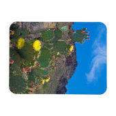 Magnet Flexible USA, Arizona. Cactus (Horizontal)