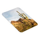 Magnet Flexible USA, Arizona, Tonto National Forest, Picketpost 2 (Côté Droit)